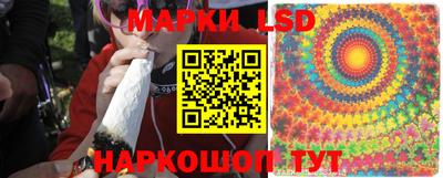 стаф Жуковский