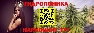 стаф Жуковский