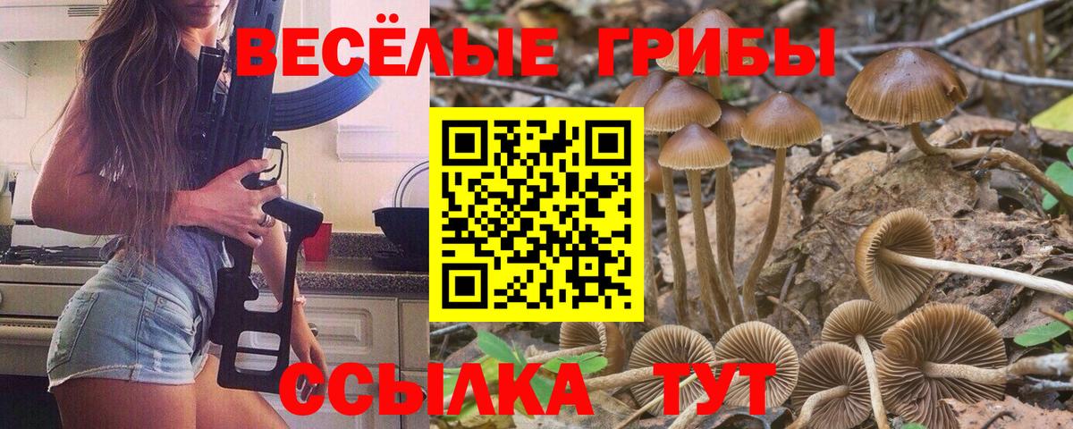 Псилоцибиновые грибы прущие грибы Заинск